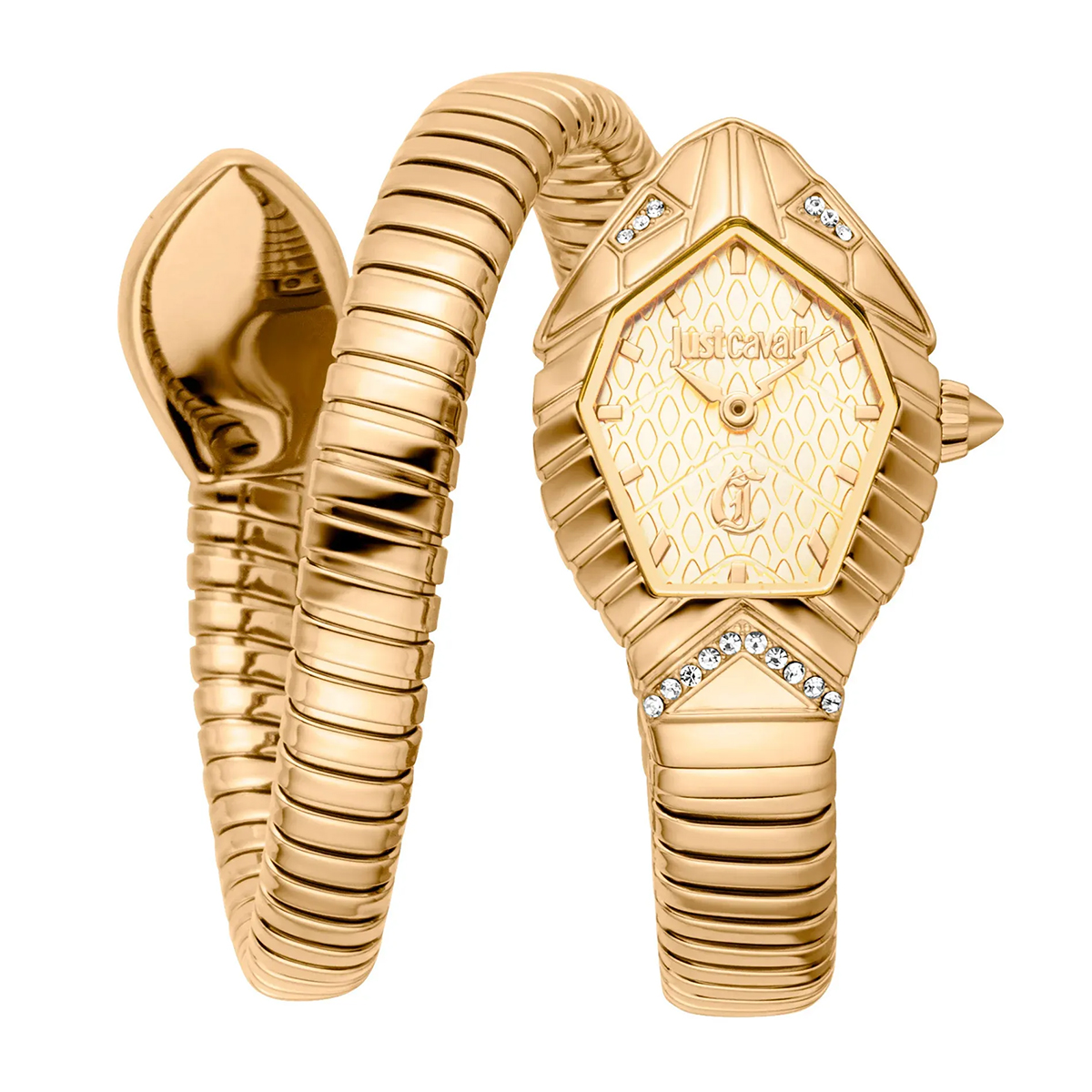 MONTRE JUST CAVALI FEMME SIMPLE ACIER